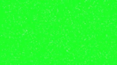 Parlayan Yeşil Ekran Hareketi Grafikleri