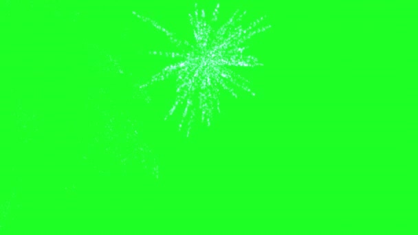 Fuochi Artificio Uno Schermo Verde — Video Stock