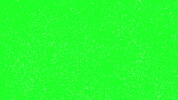 Copos Nieve Scrren Verde — Vídeos de Stock