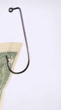 Beyaz arka planda izole edilmiş bir oltadaki dolar dikey video