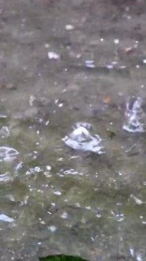 Yağmur Suyun Üzerindeki Yavaş Hareket dikey video