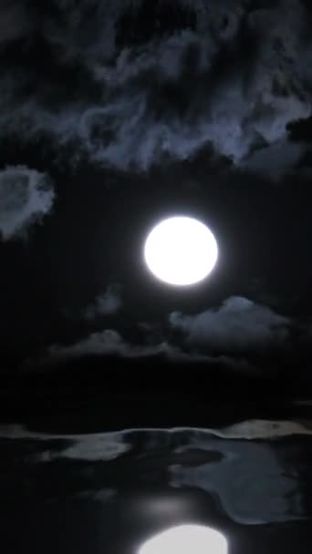 水の反射に満ちた月 タイムラップス垂直ビデオ — ストック動画