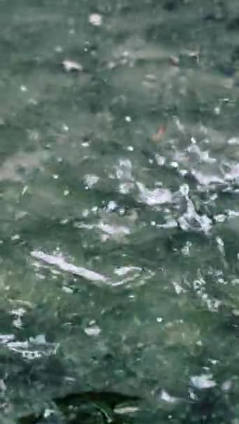 Yağmur Suyun Üzerindeki Yavaş Hareket Dikey Video — Stok video