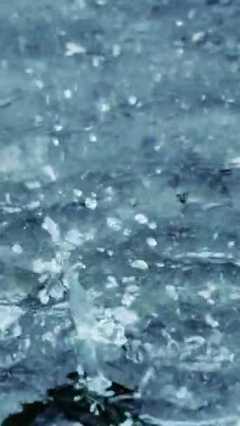 Yağmur Suyun Üzerindeki Yavaş Hareket Dikey Video — Stok video