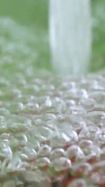 Voda Stříkající Rajčata Zpomaleném Svislém Videu — Stock video