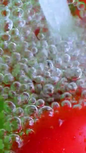 Agua Salpicando Sobre Tomates Video Vertical Cámara Lenta — Vídeo de stock