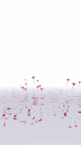 Відбиття Тюльпанів Воді Вертикальне Відео — стокове відео