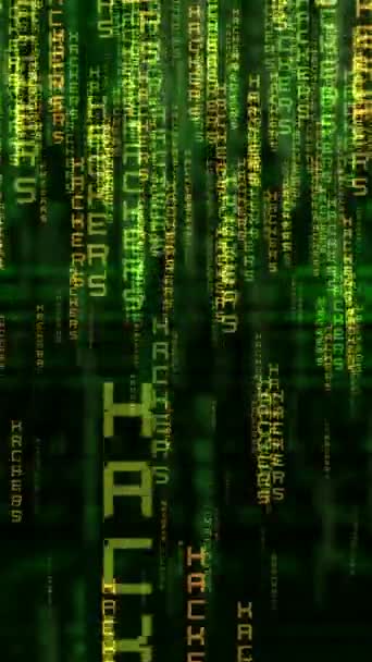 Hackers Texto Flotante Vídeo Vertical — Vídeo de stock