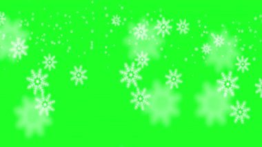 Kar taneleri yeşil bir buğdayda