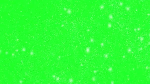 Kar Taneleri Yeşil Bir Buğdayda — Stok video