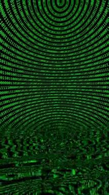 Suya yansıyan ikili veri