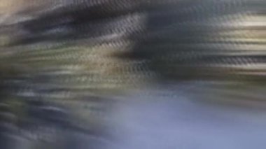 Lens ve ışık sızıntısı