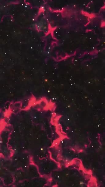 Space Flight Ett Stjärnfält Galaxy Moln Och Blixtnebulosa Vertikal Video — Stockvideo