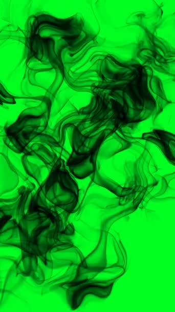 緑のスクリーン上の黒い煙垂直ビデオ — ストック動画