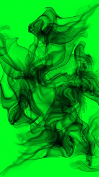 Μαύρος Καπνός Πράσινη Οθόνη Κάθετη Βίντεο — Αρχείο Βίντεο