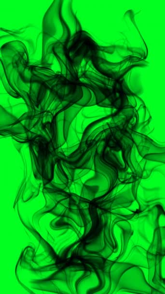 Μαύρος Καπνός Πράσινη Οθόνη Κάθετη Βίντεο — Αρχείο Βίντεο