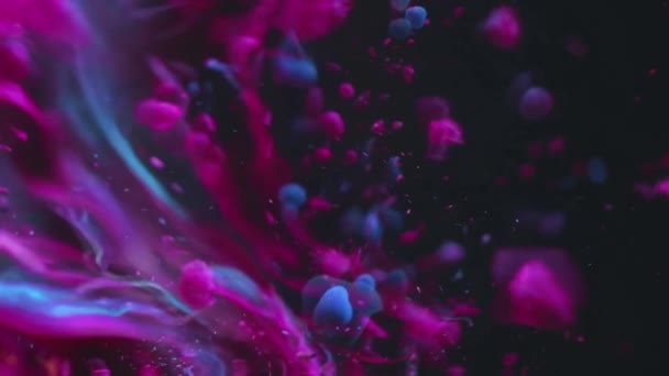 Kiehtova Näyttö Vaaleanpunainen Sininen Maalit Sulavasti Pyörivät Yhteen — kuvapankkivideo