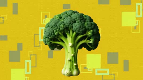 Abstract Motion Design Animatie Van Broccoli — Stockvideo