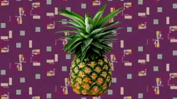 Abstract Motion Design Animatie Van Ananas — Stockvideo