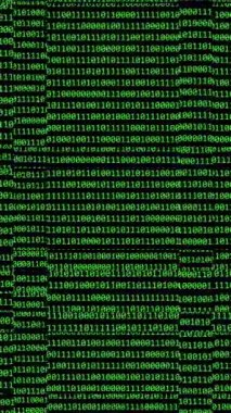 Ekran efekti dikey videosundaki ikili veri