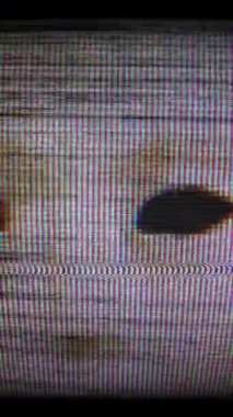 Ekrandaki ürkünç Maske 'nin dikey görüntü efekti