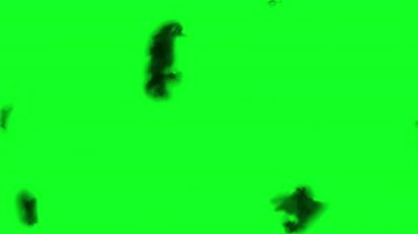 Yeşil ekrana mürekkep sıçraması