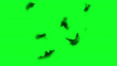 Yeşil ekrana mürekkep sıçraması