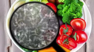 Taze Meyve ve Sebzelere Bakteri Bakterisinin Büyütülmüş Görünümü Gıda Güvenliği Endişelerini Vurguluyor