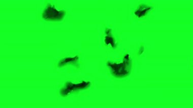 Yeşil Ekran Üzerinde Yanma Efekti