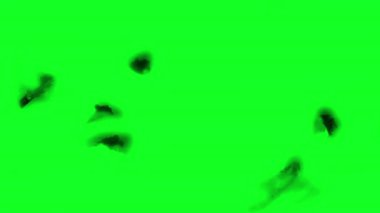 Yeşil Ekran Üzerinde Yanma Efekti