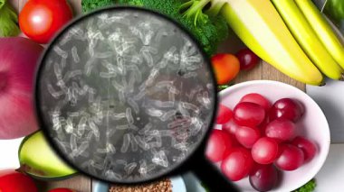 Taze Meyve ve Sebzelere Bakteri Bakterisinin Büyütülmüş Görünümü Gıda Güvenliği Endişelerini Vurguluyor