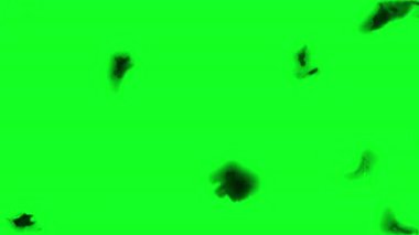 Yeşil Ekran Üzerinde Yanma Efekti