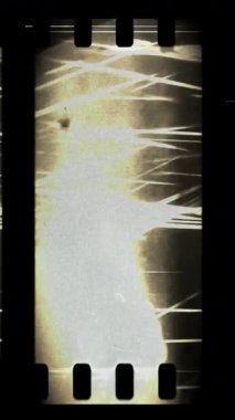 Çizikler ve ışık sızıntıları olan analog vinage film şeridi dikey video