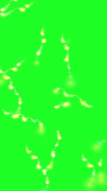 Parlak parlayan parçacıklar yeşil ekran arkaplan dikey video karşısında kaotik bir desen içinde hareket ediyorlar