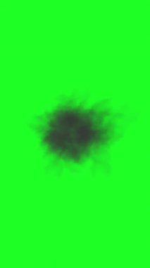 Yeşil ekran dikey video üzerinde koyu duman