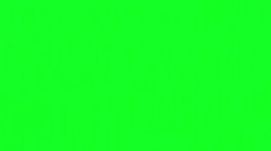 Yeşil ekranda arıza efekti
