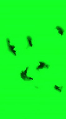 Yeşil ekran dikey video üzerine mürekkep sıçraması