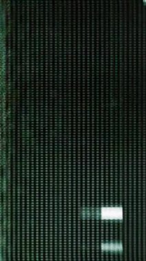 Gerçek Glitch Statik TV Gürültüsü Dikey Geçiş videosu