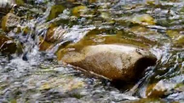 Dağ deresi yakından akıyor. Dere suyu akan eriyen kar pınarı. Taşlar arasında akan su, yakın plan. Ormanın derinliklerinde akan nehir yaşam tarzının akışı doğanın tazeliği
