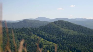 Karpat Dağları 'nın mükemmel manzarası