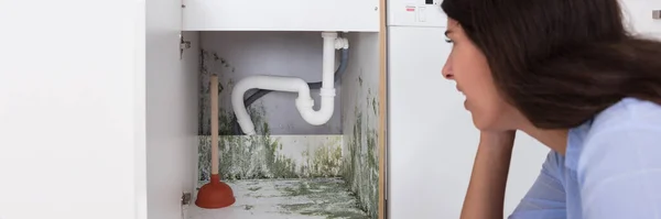家の内部金型 キッチンキャビネット Mould Stain — ストック写真