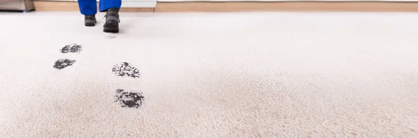 Muddy Carpet Footprint Mud Footprints Indoors Floor — Stock Photo, Image