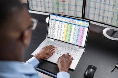 Veri Analisti Afrikalı Adam Bilgisayarda Hesap Tablosu Kullanıyor