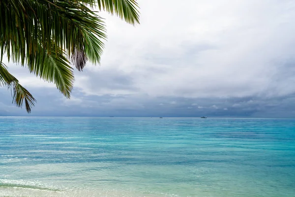 Liście Palmy Nad Piaszczystą Idylliczną Plażą — Zdjęcie stockowe