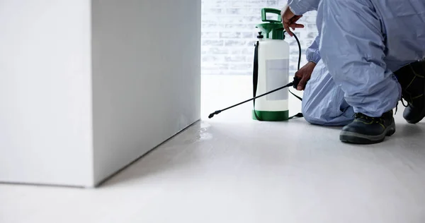 Zwalczanie Szkodników Człowiek Rozpylający Pestycydy Termitowe Biurze — Zdjęcie stockowe