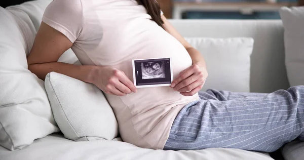 Pregnant Woman With Ultrasound Image Of Baby