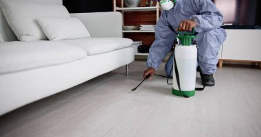 Exterminate Pest Termites In Living Room Service