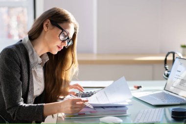 Elektronik Fatura Kullanan Muhasebeci veya Buluttaki Bill