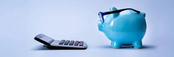 Budżet Doradztwo Finansowe Świnka Kalkulatorem — Zdjęcie stockowe