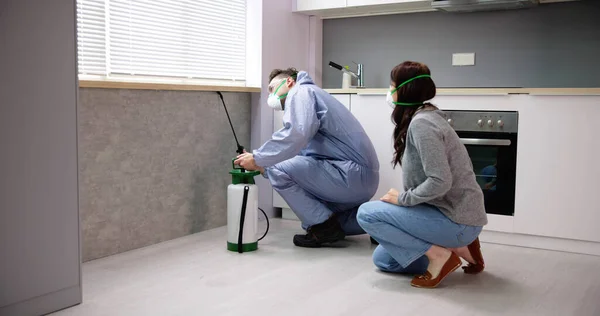 Mujer Mirando Exterminador Trabajador Rociando Insecticida Químico Para Control Plagas —  Fotos de Stock